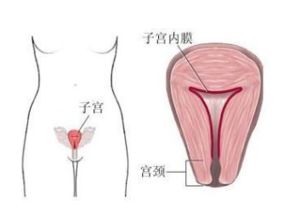 功能性子宫出血用药方法