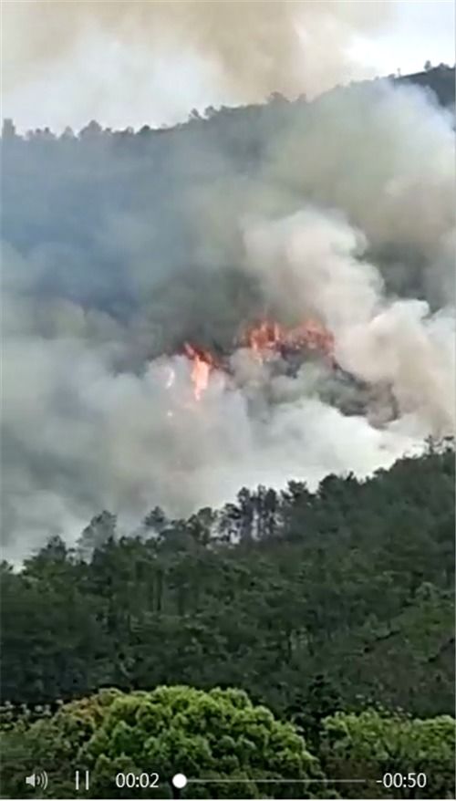 东航客机坠毁画面曝光 山林起火