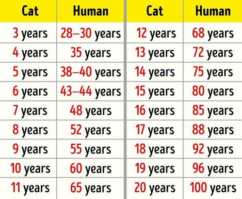 猫猫冷知识 猫咪的语言不是喵 它们用叫声操纵人类