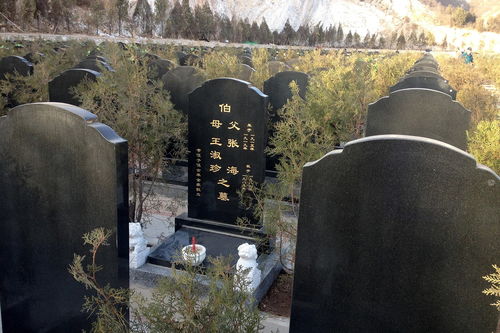 北京非法墓地建 活死人墓 在世村民被立碑 