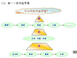 健康活到老 早上四要,晚上四不要