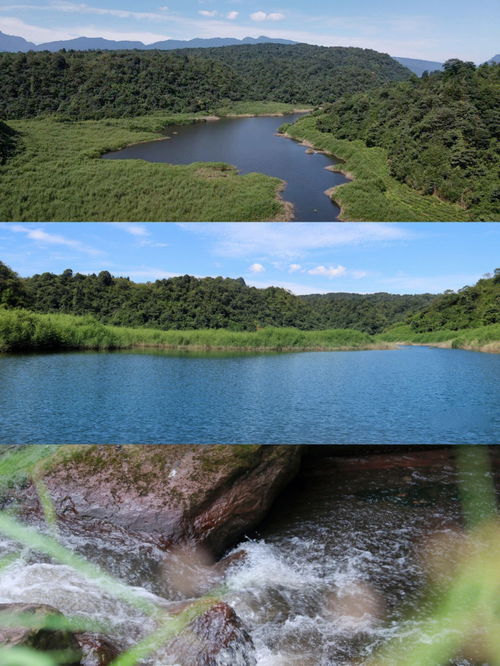 雅安 海子山3 5月旅游攻略 超详细宝藏干货 