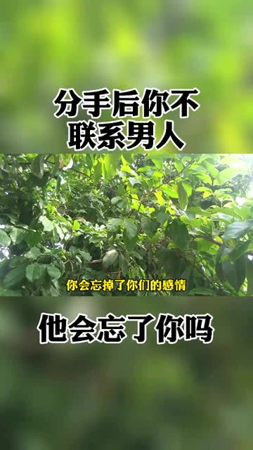 分手后,你不联系男人,他会忘了你吗 