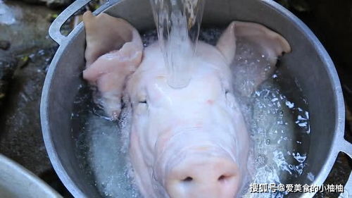 男子买20斤猪头做菜,开始做法平淡无奇,最后的步骤让人流口水