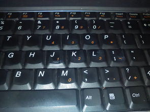 笔记本电右边的字母键盘变成数字了,怎么调回来 