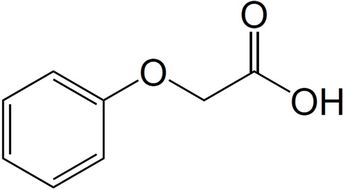 苯氧乙酸的制备 