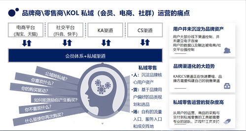 什么是私域流量运营指南,用户数字化运营解决方案 聚量数说科技