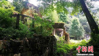 中国每天300个古村落消失 杭州启动旅游拯救复苏计划 