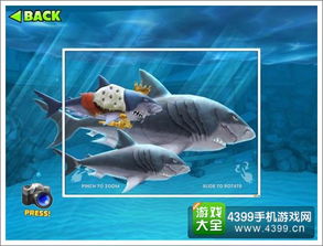 饥饿鲨 进化鲨鱼宝宝王有什么用 鲨鱼宝宝王怎么得