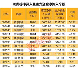 初次打新，新股配号显示这样是什么意思