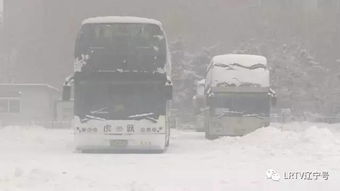 辽宁迎来今年最大雪,快看各地下成什么样 