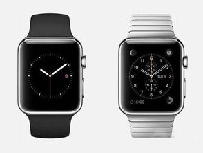 如何在iPhone上设置Apple Watch