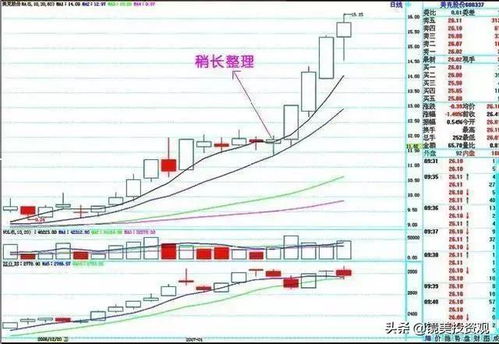 请问股市里面说的自然人是指哪一方？