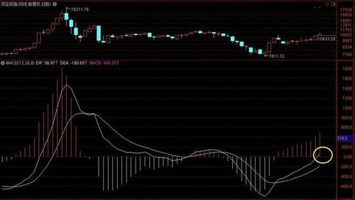 在2005年998点时，哪一只股票的价格最高？哪一只股票的市盈率最高？