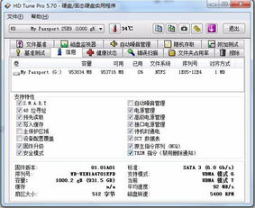 TD测试中出现的RAT是什么意思