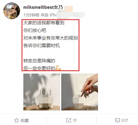 被助理曝怀孕,张大奕发文 自动屏蔽负能量,有些东西能做不能说