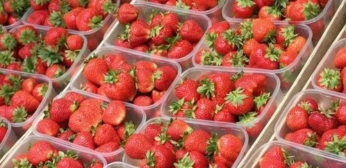 买了一盒草莓都烂的,草莓该怎么挑选 才知道这方法,太实用了