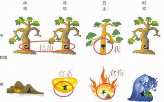 命理如何看一个人的前世今生 