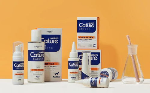 Cature小壳如何在专业宠物护理细分领域 出圈 BrandAD未来品牌