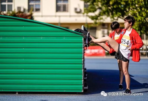 跳水运动员张家齐简历（跳水队员张家齐） 第1张