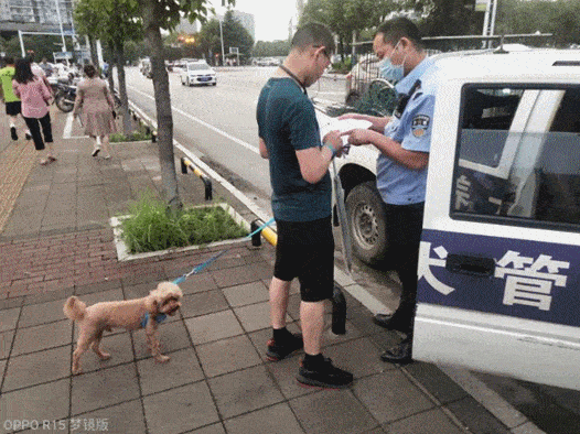 注意了,已有犬只当场被收容 萍乡对不文明养犬行为说NO