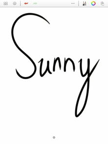 设计一个sunny 的签名字体,就是画完漫画后签名的那种,可爱一点好看一点Q一点,发图片哦 