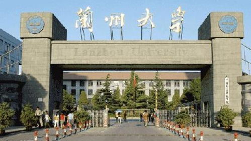 985大学的排名如何(适合捡漏的七所985大学)