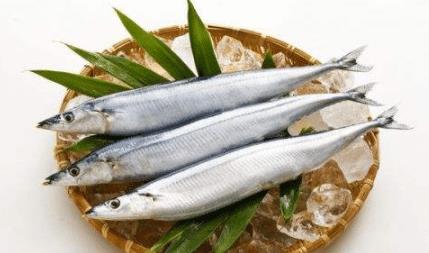 日本很火的秋刀鱼,在中国却不受待见,了解原因,扎心了 鱼肉 