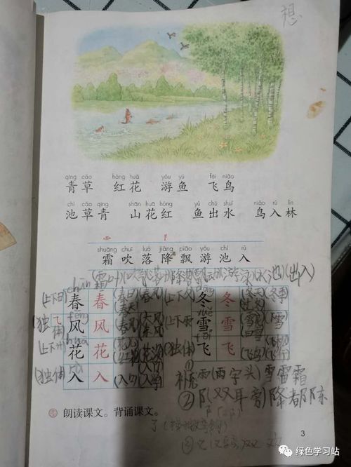 冒号引号怎么写