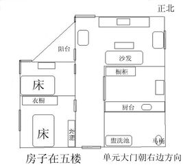 昨天在家用罗盘给房子定了方位,请大师看看房子有什么问题,可不可以改进 