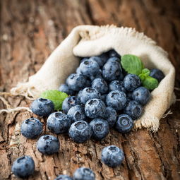 蓝莓是什么季节的水果,11月有蓝莓卖吗