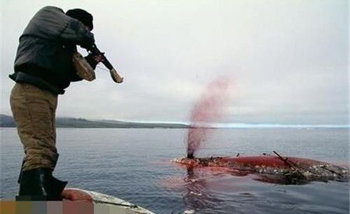 捕鲸鱼炼鲸油的电影(讲述捕鲸取鲸鱼脑油的电影)