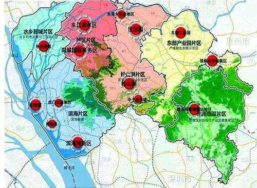 中信银行东莞分行多措并举助力粤港澳大湾区建设