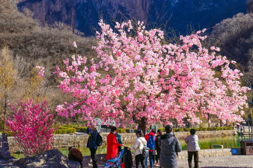 第三届中国云台山汉服花朝节开幕 信息阅读欣赏 信息村 K0w0m Com