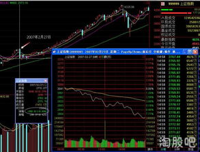 请问08年的股票，情况会是如何？