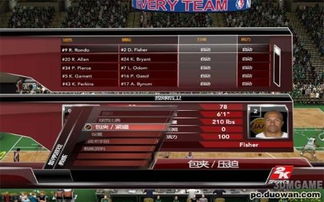 nba2k9特效补丁