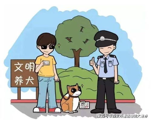 如何做到文明养狗 养犬 ,这几点很重要