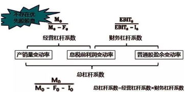 如何查看上市公司的优先股？优先股股息是如何计算的？请详细说明。谢谢