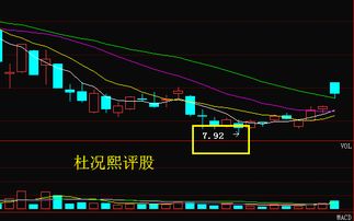 陕西黑猫后期走势？