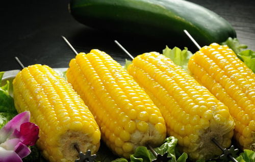 吃玉米可以减肥吗 