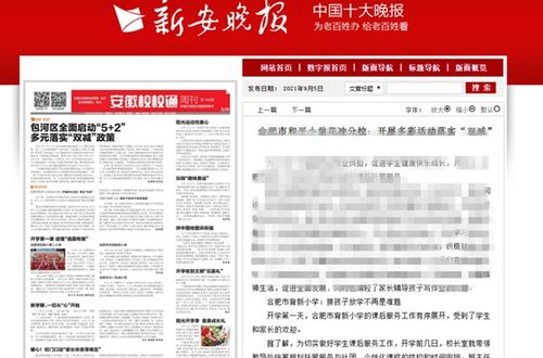 年终村委会述职报告范文（村级巡察整改问题清单？）