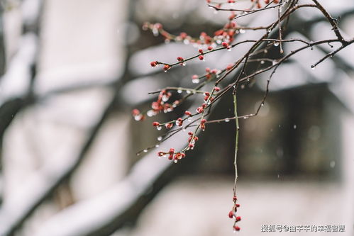 芊芊课堂 树立现代的家风 家训 家规 7