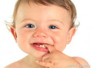 宝宝只要不晚于这个时间长牙都是正常的 宝宝出牙晚有这5个因素 