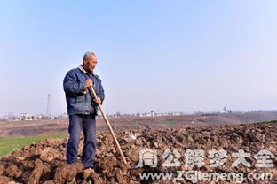 梦见种地是什么意思 梦到种地好不好 大鱼解梦网 