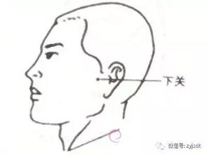 2018年最正确的生活方式,说的太对了,新的一年就这样过 