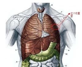 左胸口疼是怎么回事