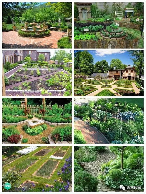 庭院菜园怎么设计最好看