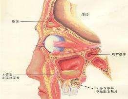 请问鼻涕中带血是怎么回事(鼻涕中有血是怎么回事?)