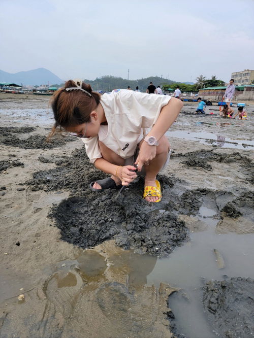 阳西本地人推荐的游玩攻略 