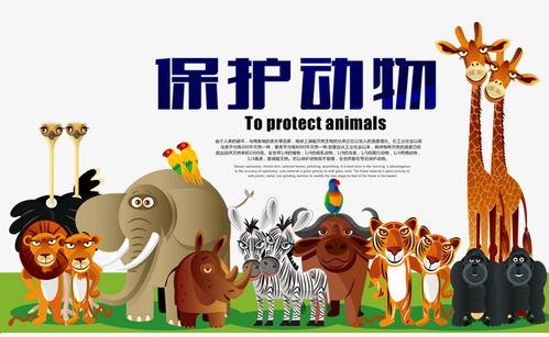 保护动物海报排版素材图片免费下载 高清图片pngpsd 千库网 图片编号5356309 